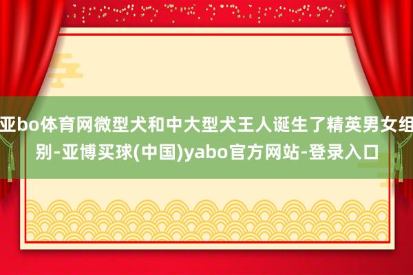 亚bo体育网微型犬和中大型犬王人诞生了精英男女组别-亚博买球(中国)yabo官方网站-登录入口